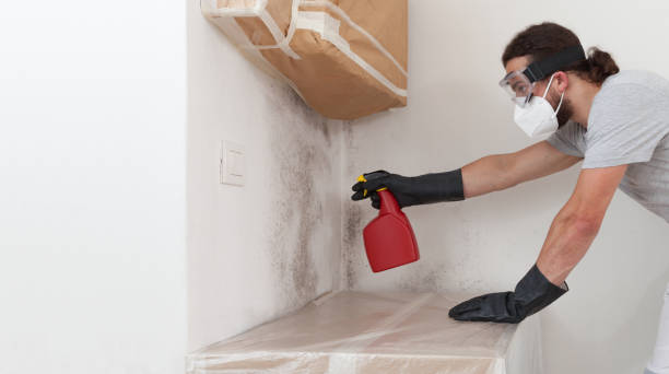 Professional Attic Mold Remediation technician working in Exmore, VA