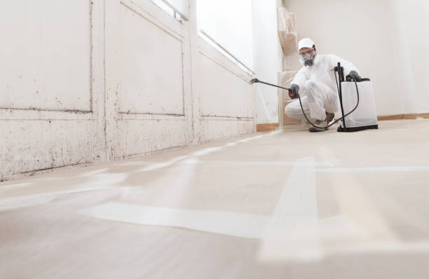24/7 Emergency Attic Mold Remediation experts in Exmore, VA